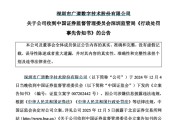 沙洋顶格重罚！839680，退市警报拉响