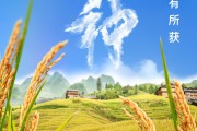沙洋芒种节气小知识来了 夏种作物都有什么？