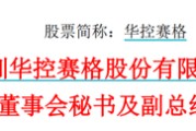 沙洋华控赛格董事长、董秘、副总经理三高管同日辞职